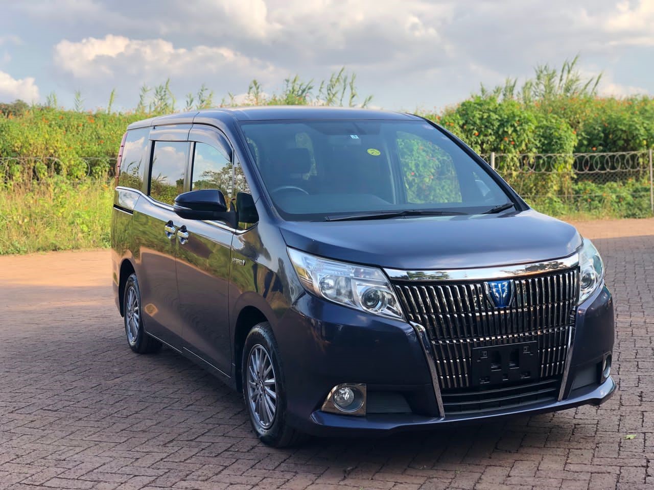 Car Hire